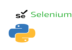 Python Testing